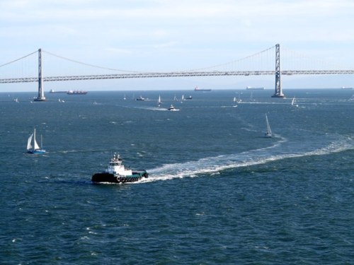 San Francisco Bay 44