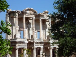 Where Did I Put My Library Card? — Monochromatic subject framed in color