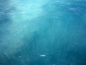 ???????????????????????????????