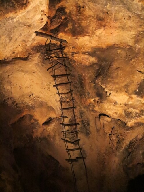 Wire and Wood Ladder used by Early Explorers