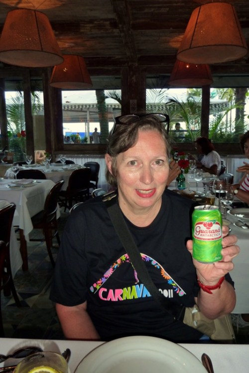 Guaraná — The National Drink of Ursula