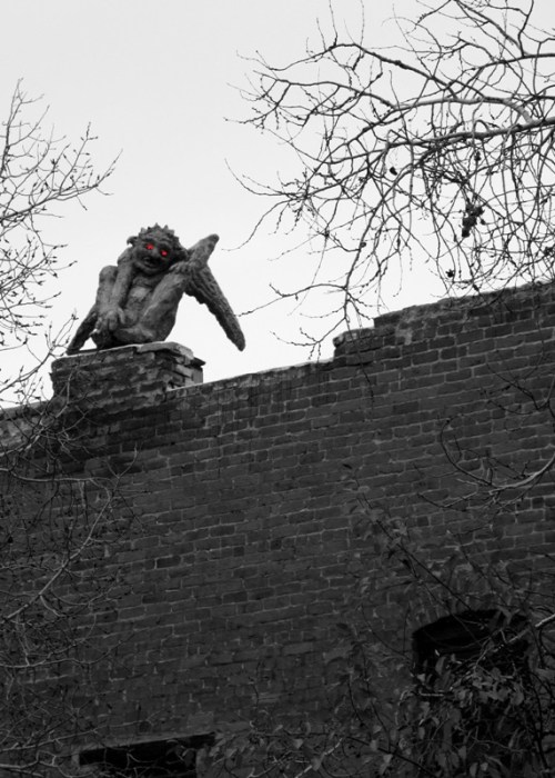 Red Eyes of the Gargoyle