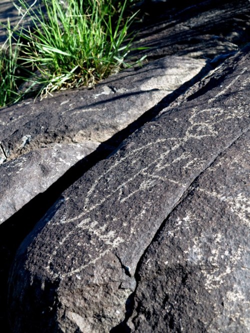 Dead Mouse from Disneyland