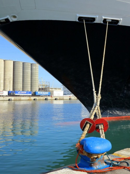 Docking the Ryndam in Palermo