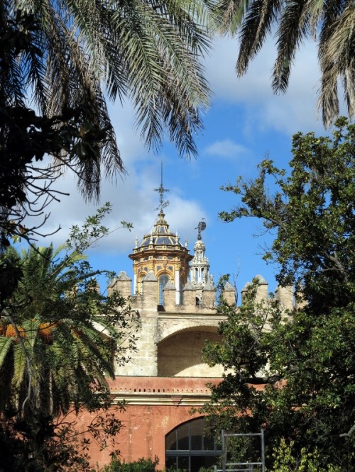 Alcázar View from the Gardens