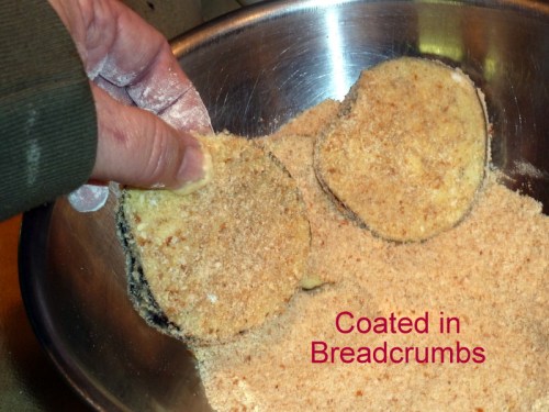 Coated in Bread Crumbs