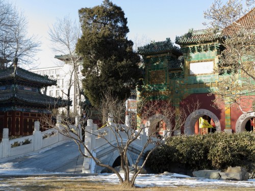 Temple of Extreme Happiness