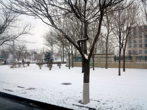 Bitter cold ride from Beijing Capital International Airport