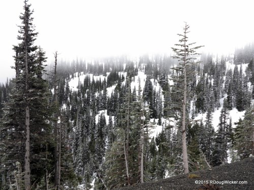 The View from the Clouds