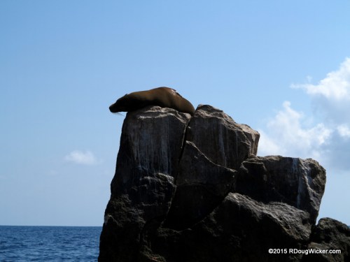 The Seal of Approval