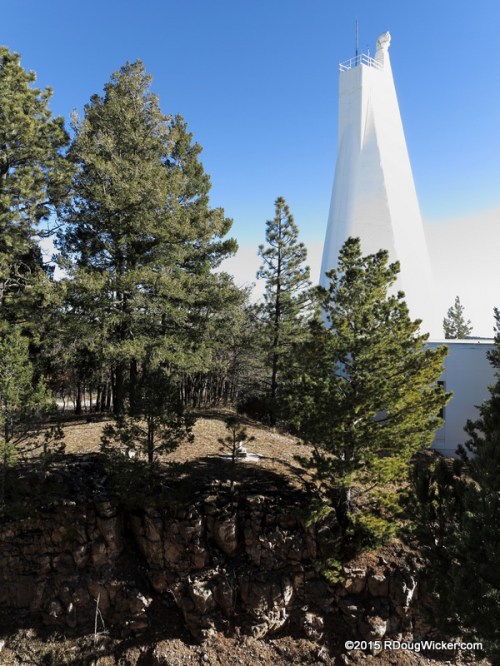 Tree Line Interrupted