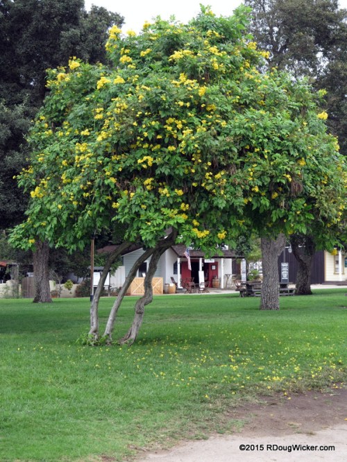 San Diego Old Town Park