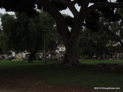 The park in San Diego Old Town