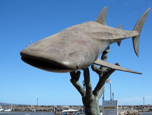 Whale Shark on a Stick