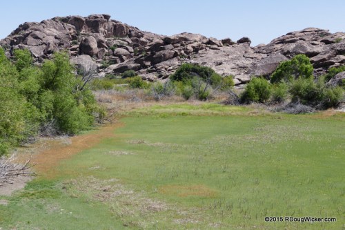 Hueco Tanks Wetland