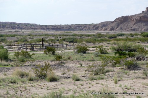 Where are the horses?