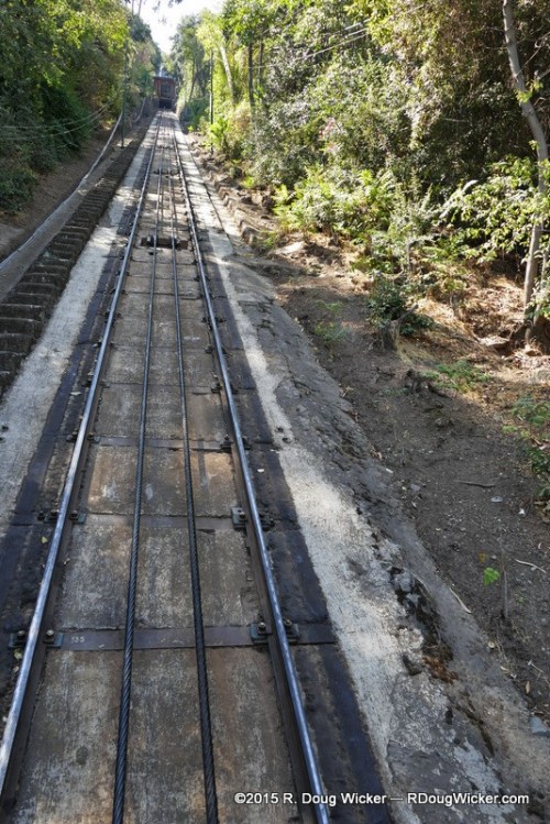 Looking Back on the Way Down