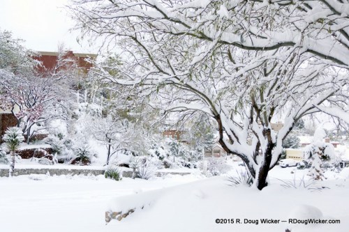 View from Front Yard