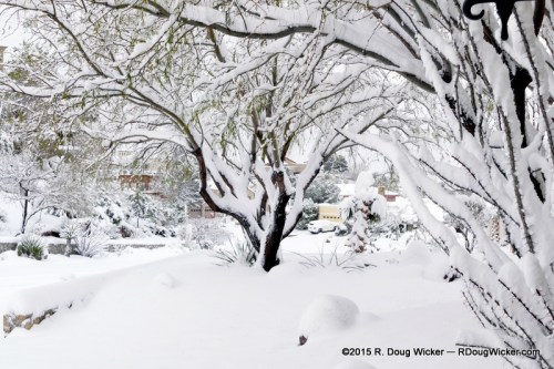 El Paso Snowstorm 2015