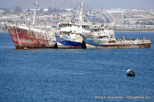 Fishing Fleet 