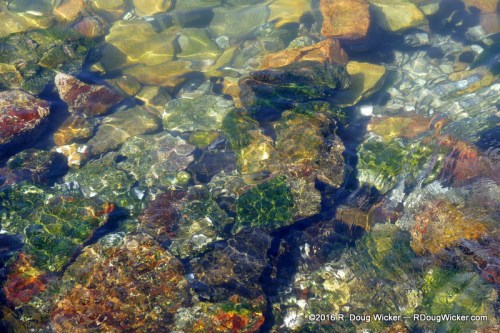 Crystal Clear in Coquimbo