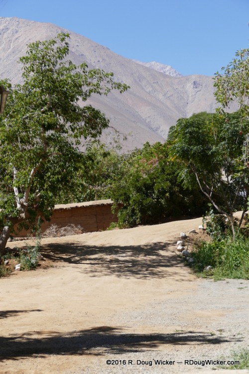 Fundo Los Nichos distillery