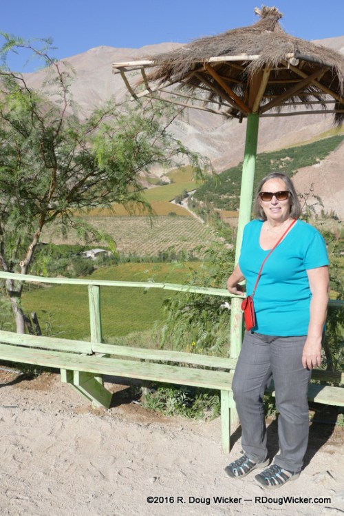 Ursula at the Elqui Valley lookout