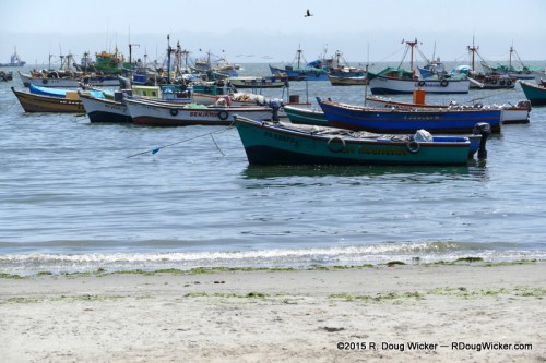 Paracas Fishing Fleet