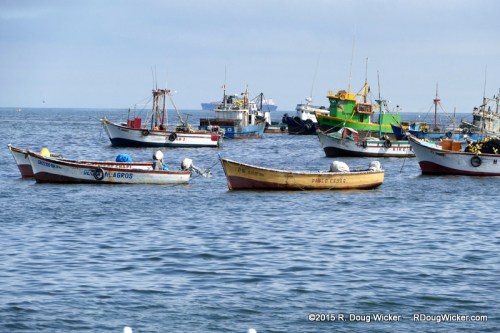 Paracas Boats