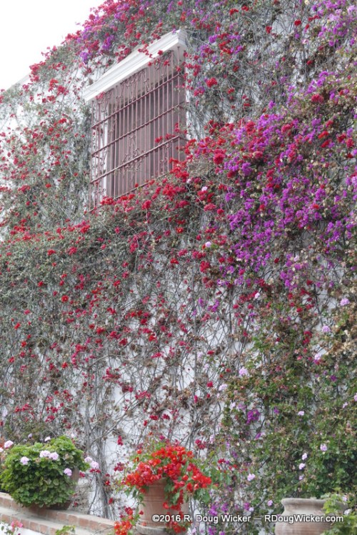Climbing the walls at Museo Larco