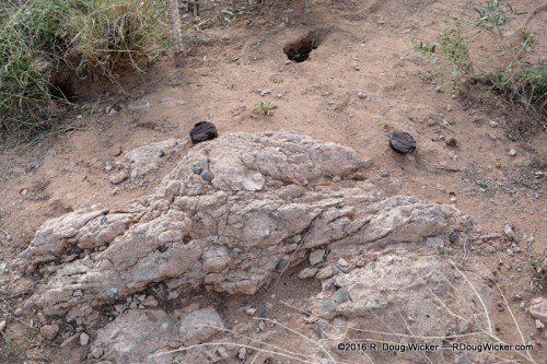 Shot Tower footings still evident