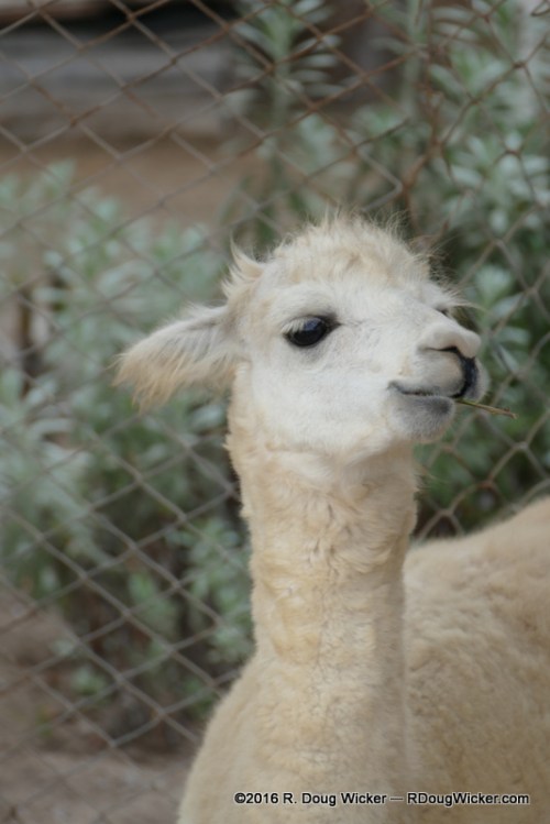 Mugging for the camera