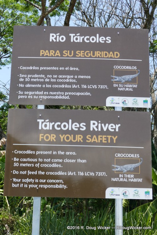 Entering crocodile territory