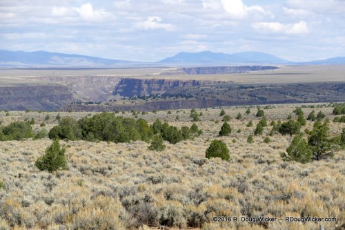 Midday view of the Rio Grande Gorge in sunlight
