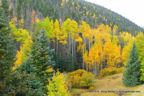 Spectrum — from green to orange