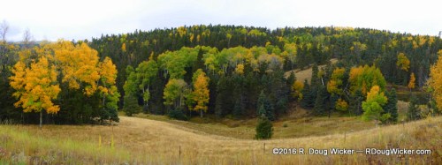Enchanted Circle Fall Foliage