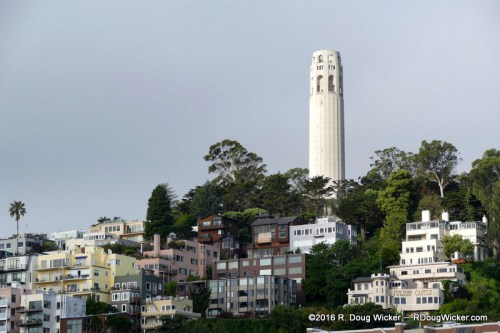 Coit Tower from below