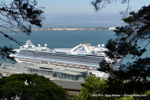 Crown Princess framed by trees