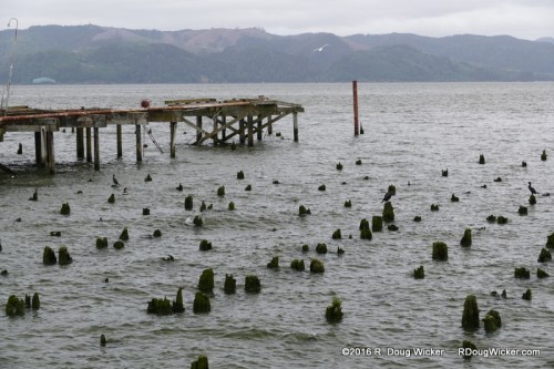 Along the Astoria Riverwalk