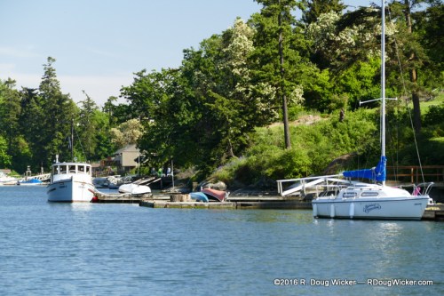 The family transportation