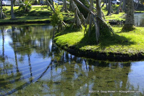 Richardson Ocean Park