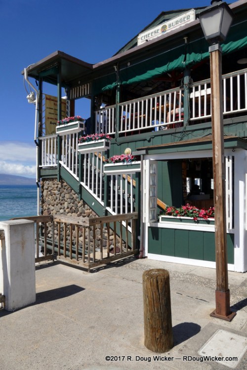 Cheeseburger in Paradise