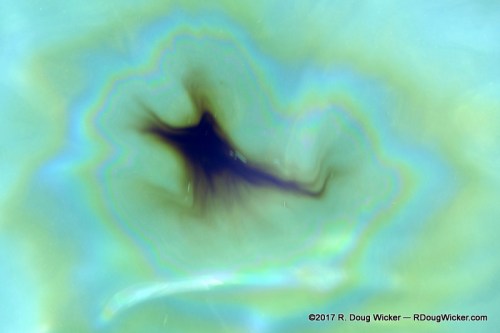 USS Arizona still bleeds oil